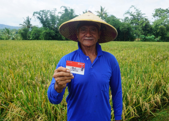Punya 3 Cabang, AgenBRILink Ini Sukses Bantu Petani Dapatkan Akses Layanan Keuangan