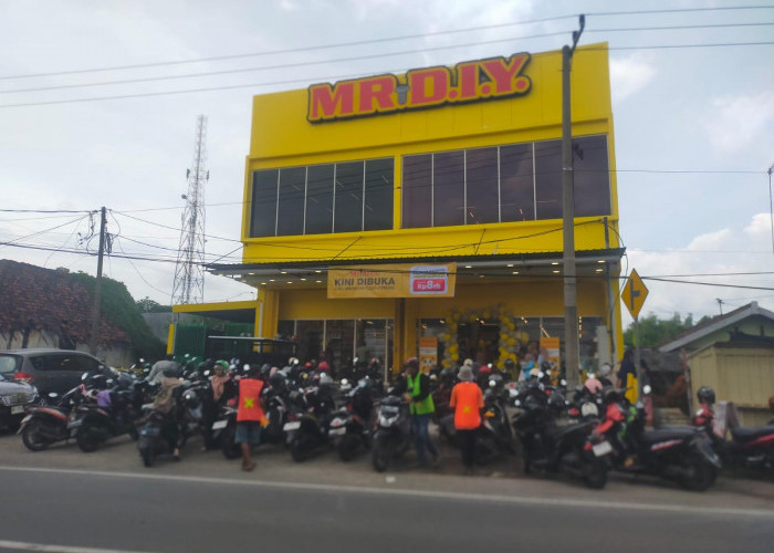 PBG Toko Modern Mr DIY Bermasalah, DPMPTSP Jombang Temukan Dugaan Manipulasi OSS