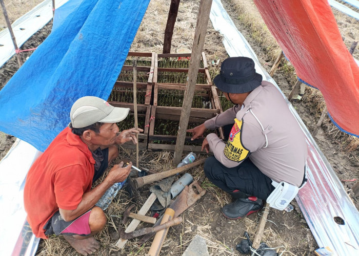 Polsek Balongbendo Kelola Ketahanan Pangan dengan Turunkan Bhabinkamtibmas
