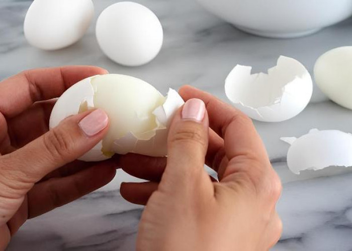 5 Tips Telur Rebus Mudah Dikupas Tanpa Merusak Permukaan