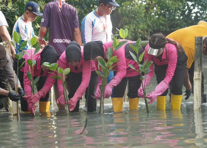 Hijaukan Pesisir Kalianak, Bhayangkari Polres Pelabuhan Tanjung Perak Sulap Lahan Kritis Jadi Hutan Mangrove
