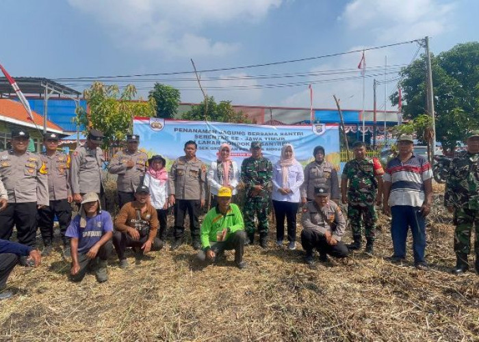 Manfaatkan Lahan Tidur di Sidoarjo, Polsek Gedangan Gelar Tanam Jagung Serentak