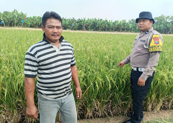 Bhabinkamtibmas Polsek Balongbendo Sambang Petani Penggerak Ketahanan Pangan 