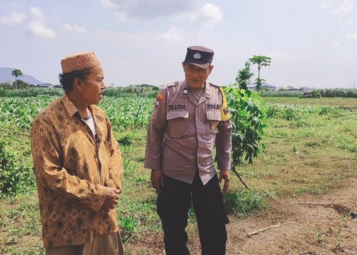 Polisi Sahabat Petani, Bhabinkamtibmas Desa Bulu Aktif Dampingi Ketahanan Pangan