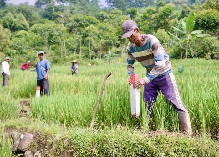 Pasang Patok Batas, Cara Sederhana Cegah Sengketa Tanah di Tulungagung