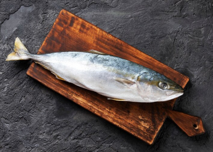 7 Ikan Sehat dan Lezat: Melumpuhkan Kolesterol Jahat dan Menjaga Kesehatan Jantung