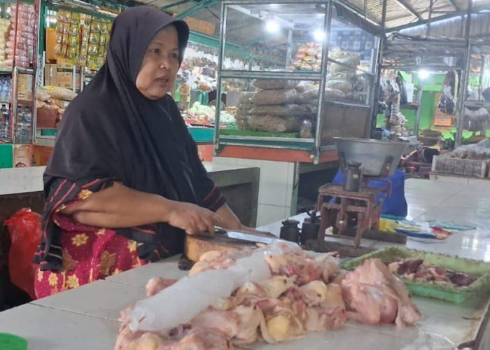 Permintaan Turun, Harga Ayam Potong di Situbondo Anjlok hingga Capai Rp 20 Ribu per Kilogram