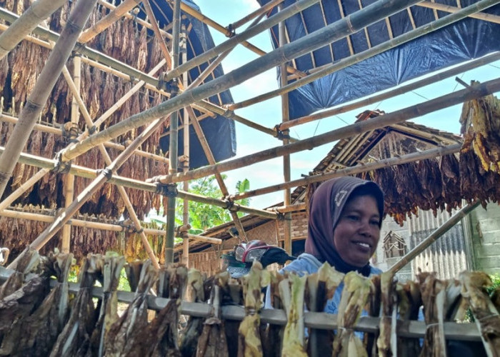 Kepala Disnaker Lumajang Tekankan Alokasi Rp 1,9 Miliar DBHCHT untuk Kelompok Rentan 