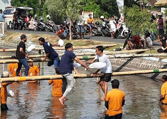 Situbondo Bergemuruh, Lomba Gebuk Bantal Paling Heboh di Perayaan Harjakasi ke-207 dan HUT Ke-80 RI