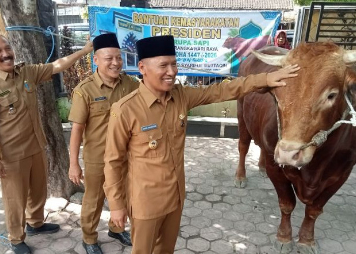 Plt Bupati Tulungagung Serahkan Sapi Kurban Presiden Prabowo Si Fajar di Boyolangu