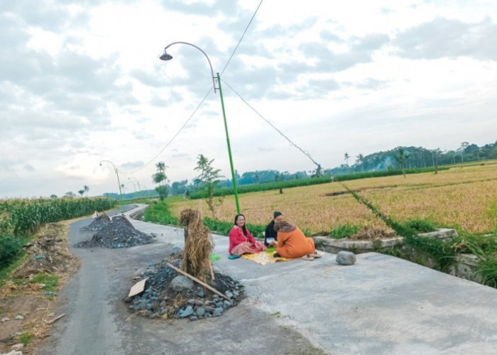 Jalan Penghubung di Tempeh Tengah Disulap Jadi Spot Wisata Foto dan Tempat Bersantai