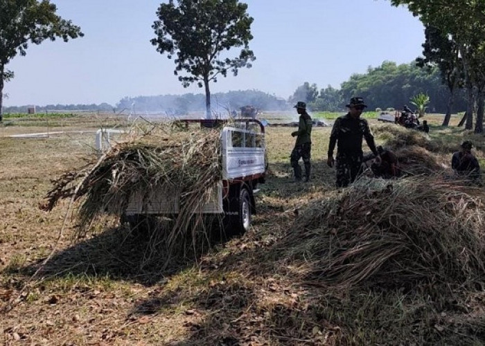 Sinergi TNI dan Masyarakat, Siap Sukseskan TMMD 129 di Kedungadem Bojonegoro
