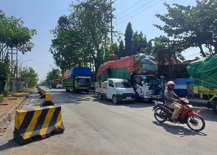  Pelindo Diminta Perkuat Sistem Antrean Truk Ro-Ro di Surabaya untuk Cegah Parkir Liar