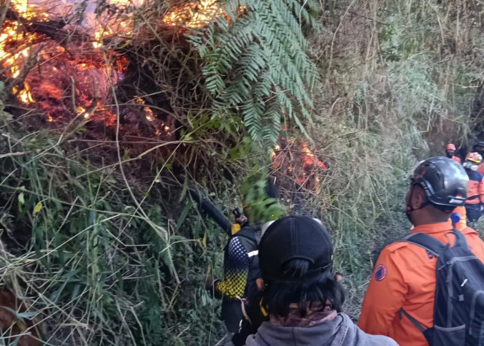 Khofifah Siapkan Santunan Rp40 Juta bagi Keluarga Empat Korban Karhutla Bromo