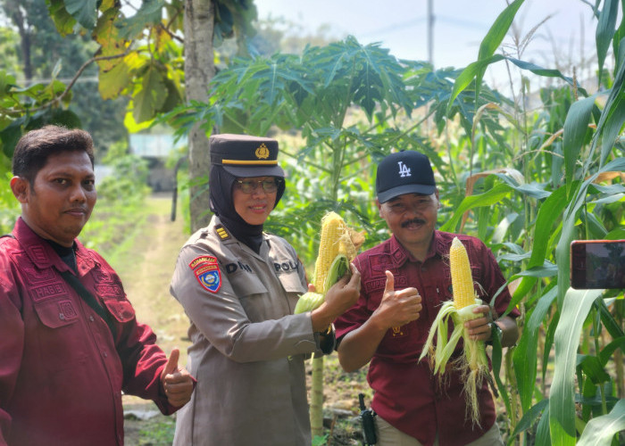 Satbinmas Polresta Sidoarjo Turun ke Porong dan Jabon, Perkuat Optimalisasi Langkah Ketahanan Pangan Daerah