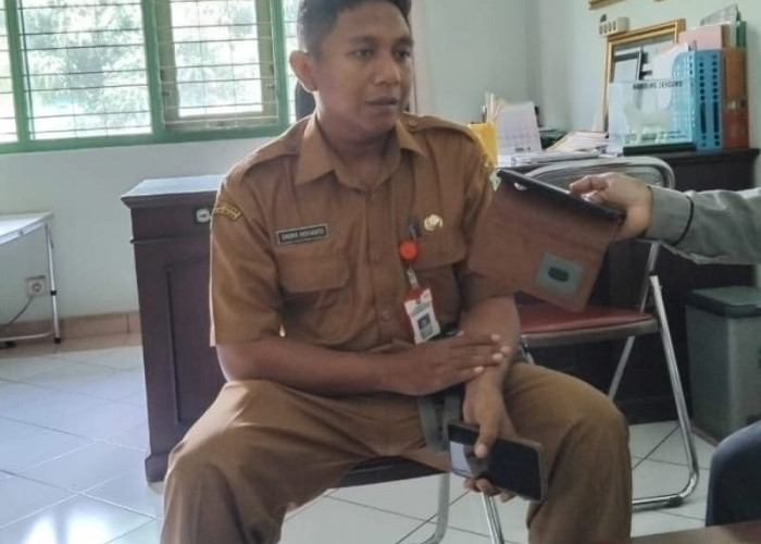 Dorong Potensi Peternakan, DKPP Lumajang Segera Gelar Kontes Kambing Senduro dan Domba