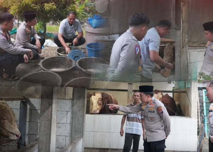 Antisipasi Penyebaran PMK, Kapolres Bojonegoro Turun Langsung Cek Kesehatan Ternak Sapi di Balen