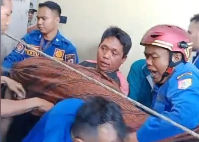 Pensiunan Satpol PP Jember Tewas Terperangkap di Dasar Sumur