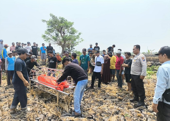 Hilang Sejak 10 Oktober 2026, Lansia Lamongan Ditemukan Tewas di Persawahan Pucuk 