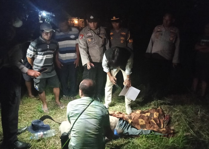 Lansia Asal Wates Ditemukan Meninggal di Perkebunan Ketami, Polisi Pastikan karena Sakit