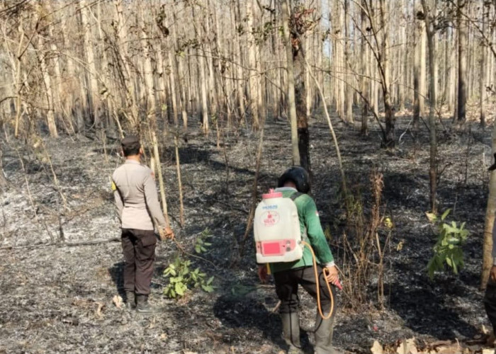 Asap Tebal Ganggu Jalan Raya, Polisi Ngawi Gerak Cepat Padamkan Api di Hutan Kedunggalar 