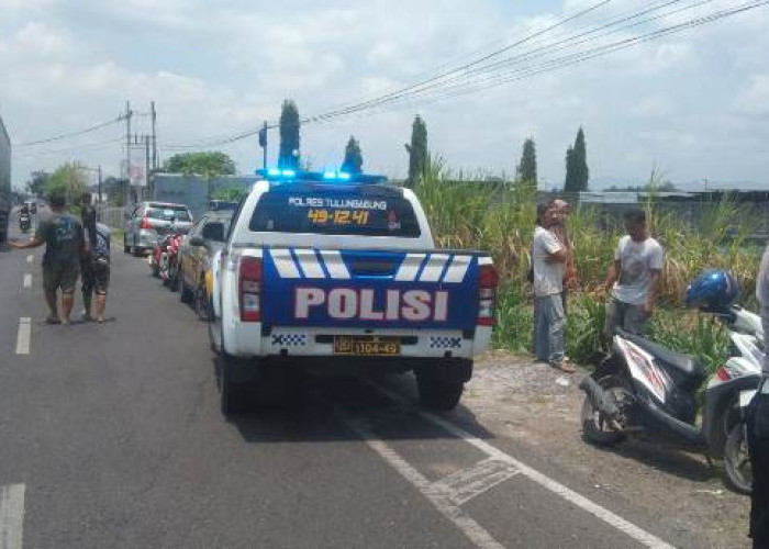 Laka Satria FU vs Bus Bagong di Ngantru: Lagi, 1 Korban Tewas Ditemukan di Semak 