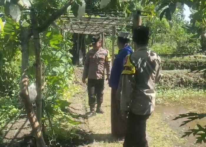 Bhabinkamtibmas Mantingan Pantau Budidaya Kacang Panjang Warga, Perkuat Ketahanan Pangan Keluarga