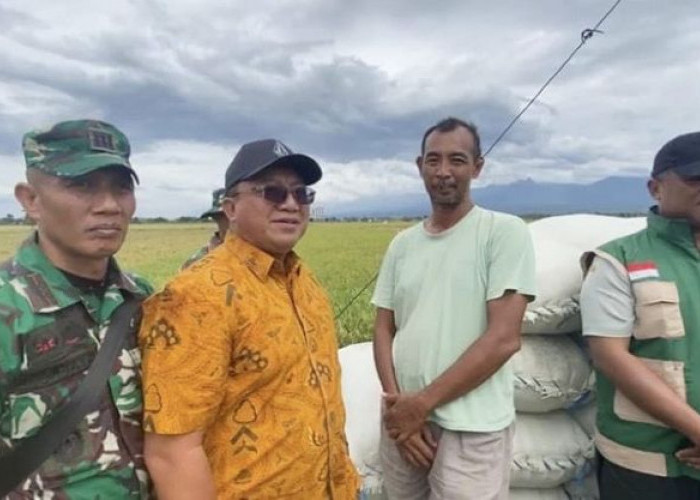Bulog Jatim Catat Serapan 200 Ribu Ton Setara Beras Tertinggi Sepanjang Sejarah