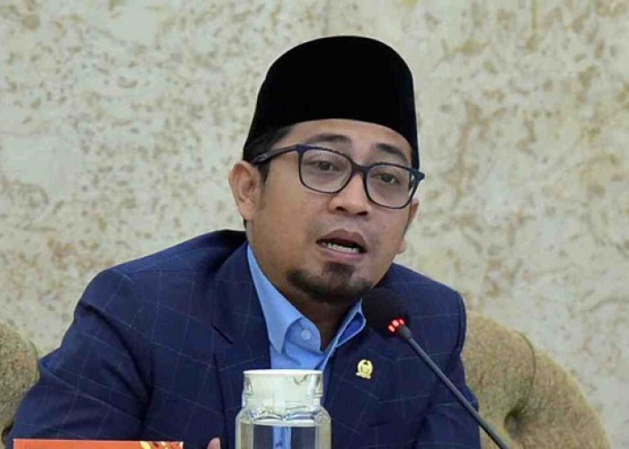 Anggota DPR Tegaskan PPPK Tidak Bisa Dirumahkan, Minta Daerah Benahi Efisiensi Anggaran