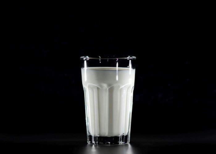 Dampak Negatif Konsumsi Susu Berlebihan: Sehatkah Minum Susu Terlalu Banyak?