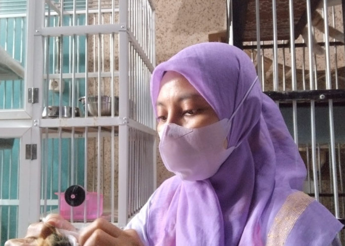 Solusi Mudik Tenang, Jasa Cat Sitter dan Penitipan Kucing di Surabaya Banjir Order Jelang Lebaran