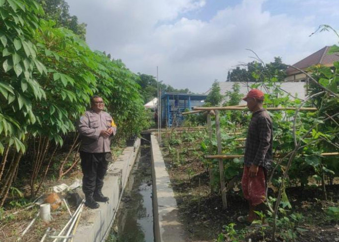 Bhabinkamtibmas Kelurahan Rungkut Kidul Pantau Kebun Ketahanan Pangan