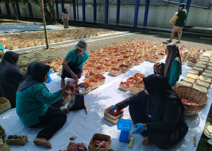 Langkah Nyata Unmuh Jember di Hari Kurban, Rawat Bumi Sekaligus Hidupkan Napas UMKM
