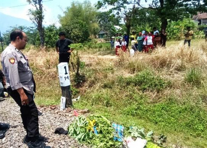 Pria Pasuruan Tewas Tertabrak Kereta Api Penataran