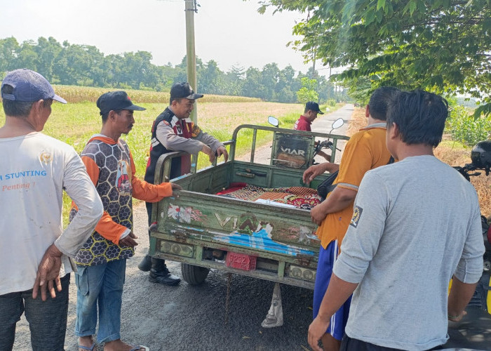 Kompak Wujudkan Swasembada Pangan, Polisi dan Petani di Balongbendo Kelola Tanaman Jagung