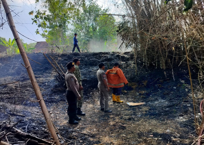 Bakar Sampah Sembarangan, Dua Lahan di Kedungpring Lamongan Hangus Terbakar