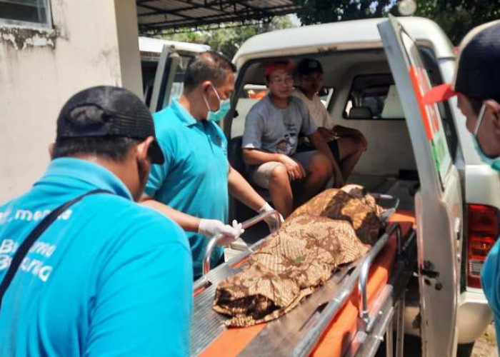 Bocah Situbondo Ditemukan Tewas Tersangkut Bebatuan Sungai