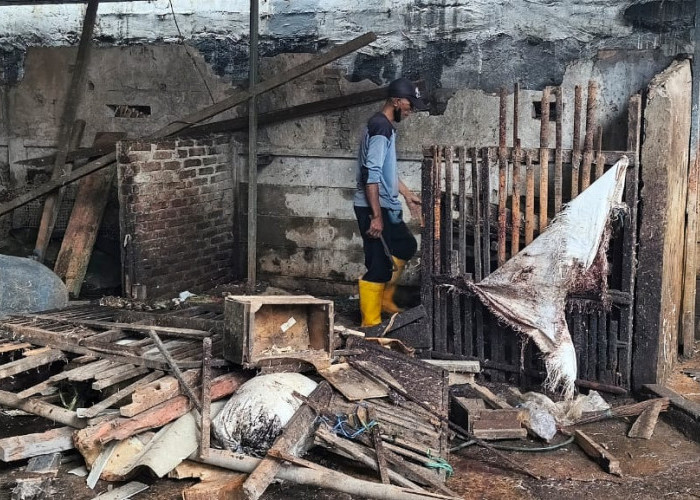 Disebut Tanpa Dialog, Penertiban Unggas Pasar Tembok Dukuh Diprotes Pedagang