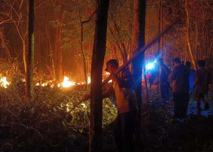 Kebakaran Lahan Kebun Jati di Paron Ngawi Berhasil Dipadamkan, Polisi Imbau Warga Waspada Bahaya Bakar Sampah 