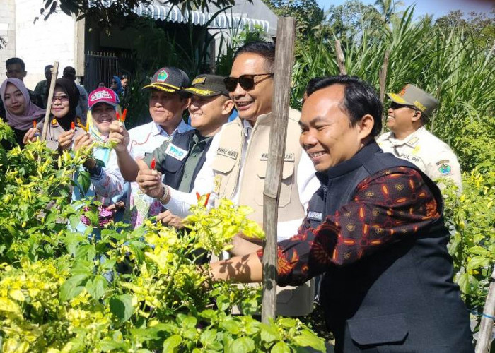 Pastikan Aman Stok Bapokting di Kota Malang, Wali Kota bersama Wawali dan Dandim Petik Cabai