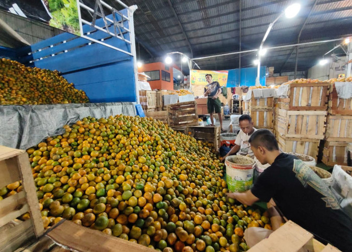 Penertiban Pasar Buah Tanjungsari Disorot DPRD Surabaya: Jangan Tebang Pilih
