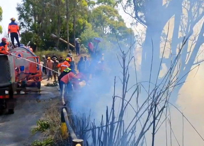 Hembusan angin di kawasan Bromo juga menjadi salah satu penyebab api cepat menjalar ke beberapa lokasi. Berdasarkan data BPBD Provinsi Jatim, pada Kamis (6/7) pukul 06.00 luas terdampak kebakaran hutan dan lahan (karhutla) di kawasan Bromo mencapai 70 hektare. (Foto: Dok. BPBD Provinsi Jawa Timur)
