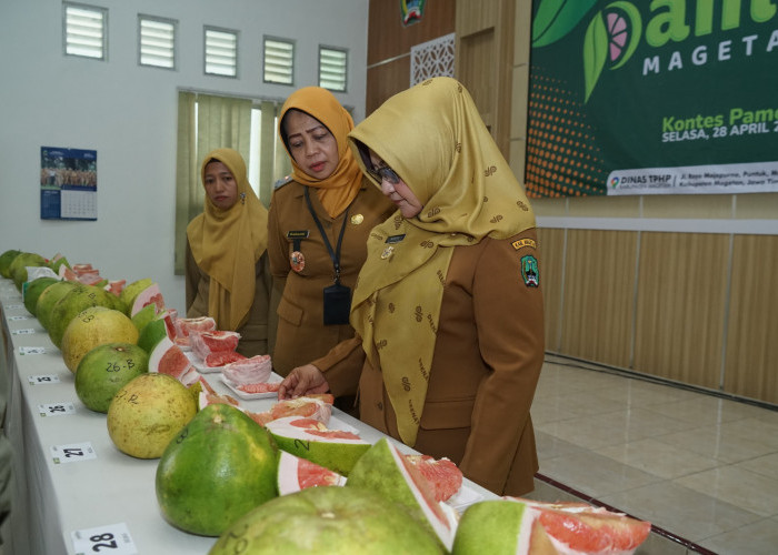 Setahun Menjabat, Nanik-Suyatni Sukses Bikin Sektor Pangan Magetan Terus Meningkat