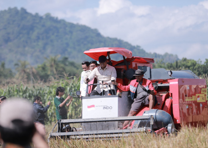 Wamentan Dorong Jember Jadi Sentra Pangan Nasional, Tekankan Peningkatan Produktivitas Lahan
