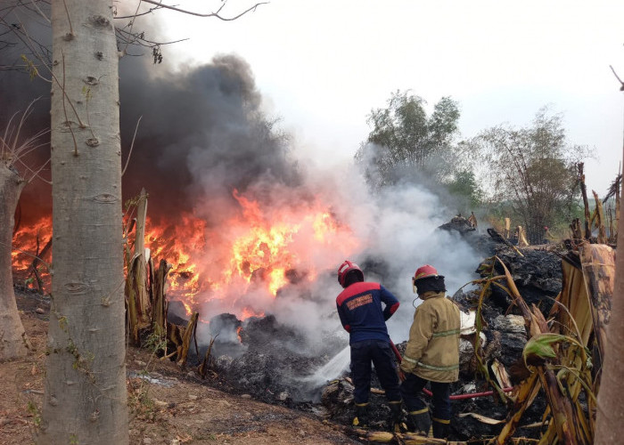 Terperosok ke Dalam Api Tumpukan Plastik, Personel Damkar Gresik Luka Bakar di Kedua Kaki