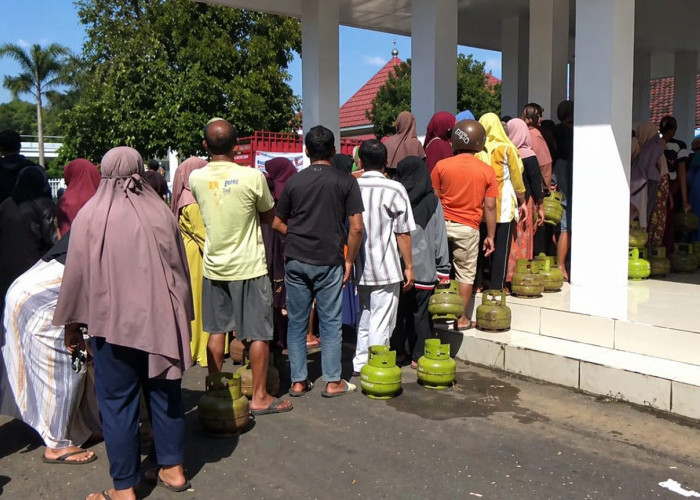 Krisis Gas Melon di Tanggul Jember, Harga Tembus Rp40 Ribu, Pemkab Gelar Operasi Pasar Darurat