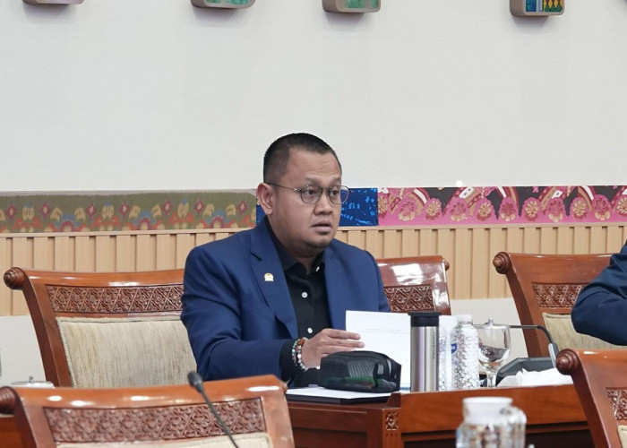 DPR Dorong Pemberantasan Narkotika Menyeluruh Usai BNN Sita 3,37 Ton Bunga Ganja di Gresik