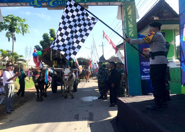 Kapolsek Ambulu Turut Lepas Festival Arak-arak Pegon Menuju Pantai Watu Ulo
