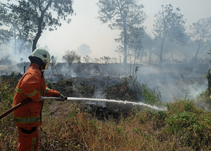 Lahan Kosong 4,5 Hektare di Kertajaya Indah Regency Dilalap Api