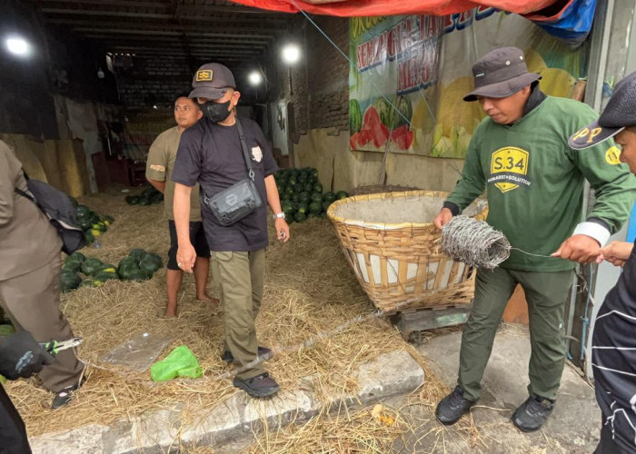 Tak Kantongi PBG dan IMB, Satpol PP Surabaya Segel 7 Kios Buah di Jalan Tanjungsari